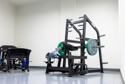 Commercial Grade Belt Squat for Gym, profesional use, heavy duty adjustable plate